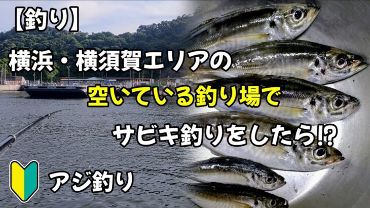 【釣り】東京湾の空いている釣り場でサビキ釣りしたら!?ロマンがあるアジ探し！