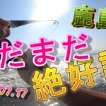 【鹿島灘サーフ】絶好調のサーフゲーム🎣