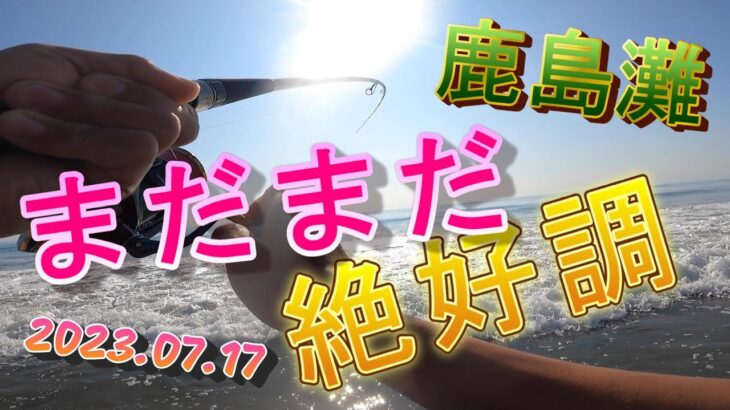 【鹿島灘サーフ】絶好調のサーフゲーム🎣