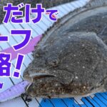 【初心者必見】タダ巻きだけでヒラメやマゴチが簡単に釣れるお勧めジグ紹介