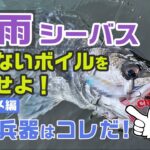 【梅雨 シーバス】喰わないボイルを攻略せよ！朝マズメ編｜最終兵器はコレだ！