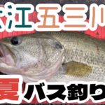 【バス釣り】初夏の大江五三川！デカバス釣れちゃた！！