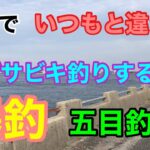 埠頭でいつもと違う投げサビキ釣りすると？爆釣な五目釣り 衣浦湾