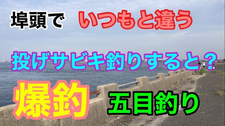 埠頭でいつもと違う投げサビキ釣りすると？爆釣な五目釣り 衣浦湾