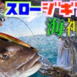 【スロージギング】スパイキー使ったら真鯛と鮃が連発した！釣ってはいけない魚も連発した！