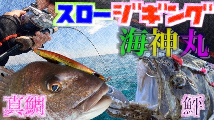 【スロージギング】スパイキー使ったら真鯛と鮃が連発した！釣ってはいけない魚も連発した！