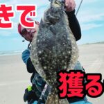 常夏の鹿島灘サーフ濁りは巻きで攻略！？