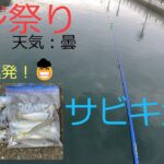 【アジ釣り①】トリックサビキでアジ祭り！曇の日は間違いなくアジが爆釣します。