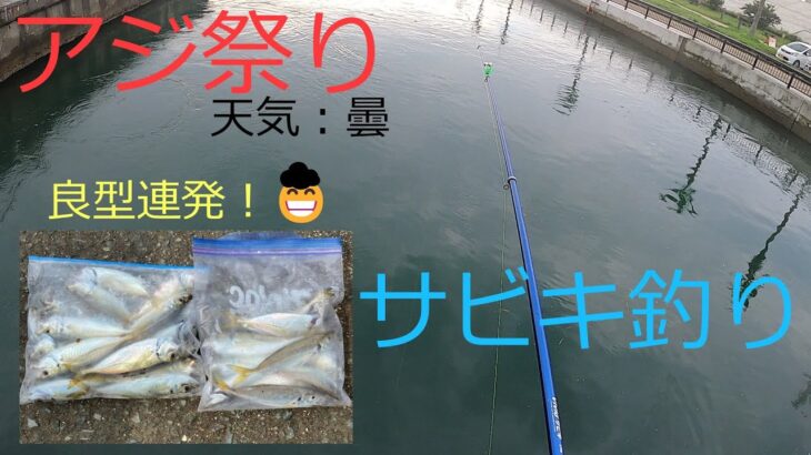 【アジ釣り①】トリックサビキでアジ祭り！曇の日は間違いなくアジが爆釣します。