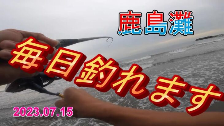 【鹿島灘サーフ】この好調なサーフはいつまで続くのか❔🎣