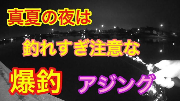 真夏の夜は釣れすぎ注意な爆釣アジング 知多半島