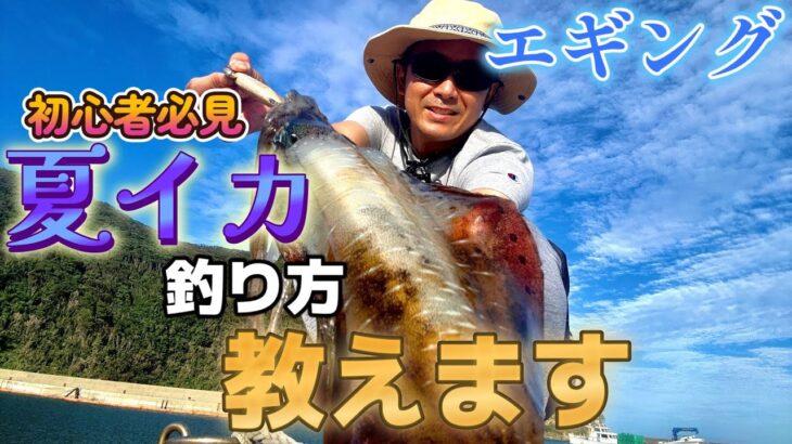 【エギング】初心者でも夏イカ釣れる方法をお教えします。