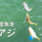 愛知県冨具崎漁港でサビキ釣り！釣り人がいなくても釣れた！