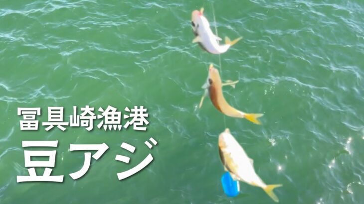 愛知県冨具崎漁港でサビキ釣り！釣り人がいなくても釣れた！