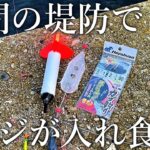 【昼間から無限アジ釣り！】カゴやサビキ釣りでアジの時合いを途切れさせない重要なコツを紹介します