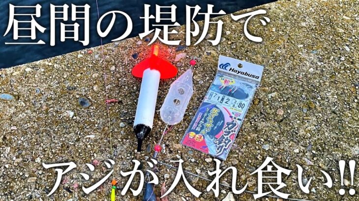 【昼間から無限アジ釣り！】カゴやサビキ釣りでアジの時合いを途切れさせない重要なコツを紹介します