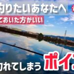 意外と見落としがちな狙うべきポイント！【明日から使えるルアー釣り解説】