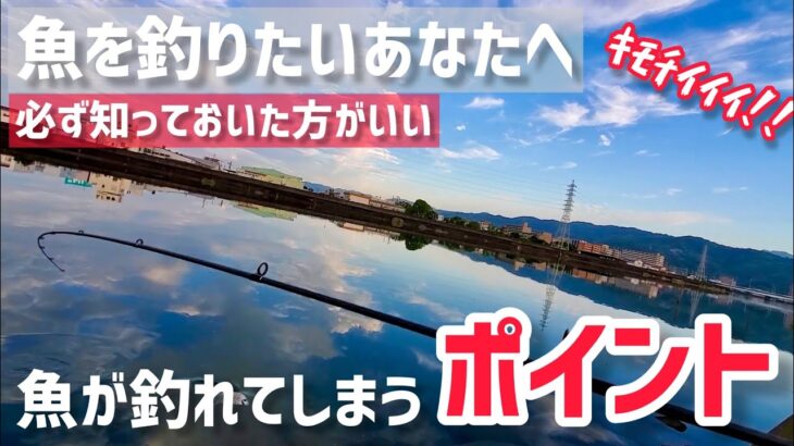 意外と見落としがちな狙うべきポイント！【明日から使えるルアー釣り解説】