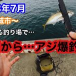 昼間からアジがたくさん釣れる釣り場発見…【茨城県北茨城市】