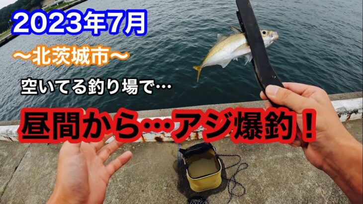 昼間からアジがたくさん釣れる釣り場発見…【茨城県北茨城市】