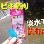 【爆釣！】オランダ仕掛け？ならぬ『川サビキ釣り』で淡水の小物釣りをしてみました！こんな簡単な釣り方でたくさん釣れて楽し過ぎる。。