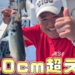 サビキ釣りでオニアジを狙う!まさかの〇〇が大漁⁉︎