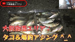 大阪南港釣り園タコ釣査＆爆釣アジング ♪ アジを魅了する謎のフワトロ巻き？の巻。