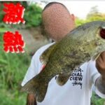 【埼玉バス釣り】元荒川激熱ポイント！連発ポイントへ！【バス釣りオススメポイント】