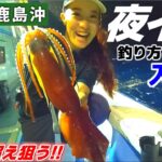 【夜イカ釣り】初心者でも釣れる鹿島沖の五目イカ釣り‼︎釣り方&仕掛け解説【幸栄丸】スジイカ