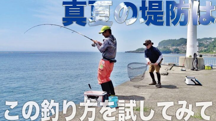 真夏の堤防大物狙い。小さな魚を避け大きな魚を狙うなら、こんな仕掛けで楽しんでみては？