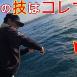 明石沖ジギング＆タコ釣り『釣果をあげるには、この技で釣ってください』