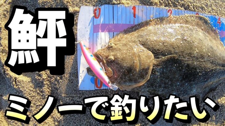 【爆釣】サーフからミノーを使ってヒラメが釣りたい！【茨城サーフ】