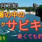 小名浜港で暑い中のサビキ釣り　夏でもサビキで釣るよ