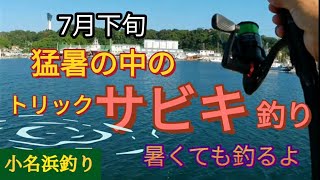 小名浜港で暑い中のサビキ釣り　夏でもサビキで釣るよ