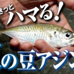 【アジング】足元でも釣れる！この夏、絶対やってほしいアジング