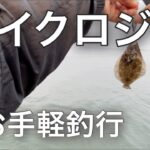 【アジングロッド】使って湘南サーフからの小物釣りをする！