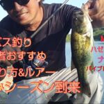 夏休みシーズン到来！バス釣り初心者おすすめの釣り方&ルアー！！