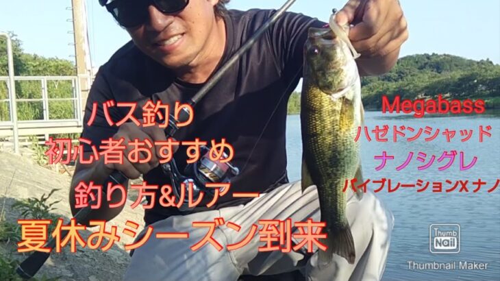 夏休みシーズン到来！バス釣り初心者おすすめの釣り方&ルアー！！