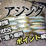 【アジング】ジグ単でアジ連発！夏アジングを攻略