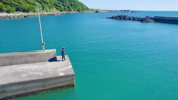 南紀の海で夏イカを狙う‼︎超高活性ランガンエギングが面白すぎる…。