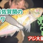 アジ大量発生‼️~大分県佐賀関での豆アジング釣行~