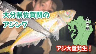 アジ大量発生‼️~大分県佐賀関での豆アジング釣行~