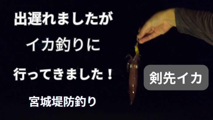 出遅れましたが…イカ釣りに行ってきましたよ～！