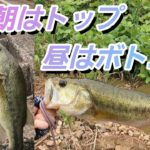 【バス釣り】ニードバグを初めて使って早速釣れたよ😆