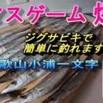 ジギングサビキでカマス大爆釣！！