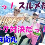 夏だっ！スルメだっ！長井沖のニセ、スルメイカ釣り、ひさびさのピンク対決！？【スルメイカ釣り】【直結仕掛け】【多点掛け】【ピッカピカ針】