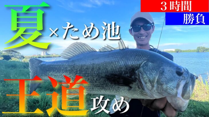 【夏のバス釣り】夏の定番の釣りっていったいどんな釣り？【水の旅＃ ２２１】