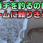 マゴチを釣るのにワームばっかり投げてたら釣れるもんも釣れないよ