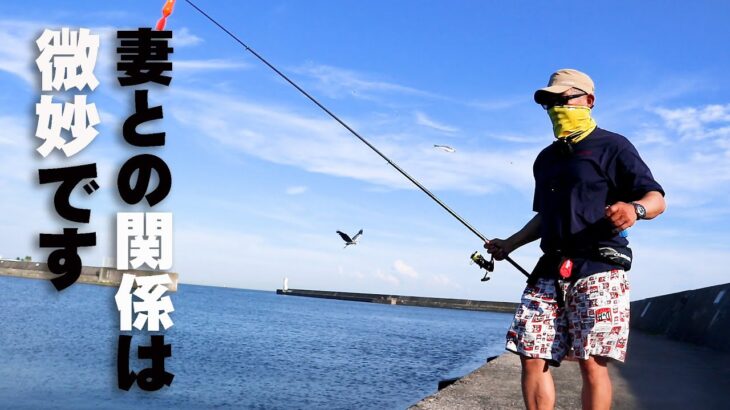 夏休みに簡単に釣れる【サビキ釣り】マイスターがサビキ釣りしたらこんな感じ・・・