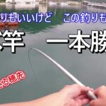 サビキ釣りもいいけど、延べ竿でウキ釣りしても楽しいよ